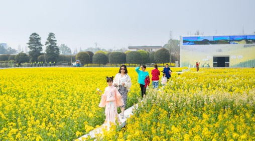 2号站注册会员线路,2号站怎么样?