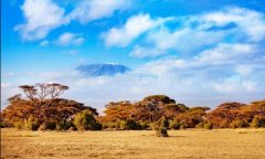 马纳波尔斯国2号站官网家公园、萨比和切俄雷自然保护区(津巴布韦)