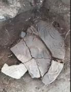 中蒙联合考古在蒙古国境内2号站注册匈奴贵族墓中首次发现单体龙形器物