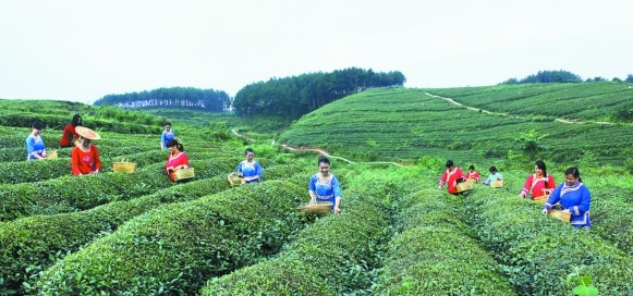 二号站平台注册登录,二号站官方注册地址